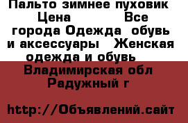 Пальто зимнее пуховик › Цена ­ 2 500 - Все города Одежда, обувь и аксессуары » Женская одежда и обувь   . Владимирская обл.,Радужный г.